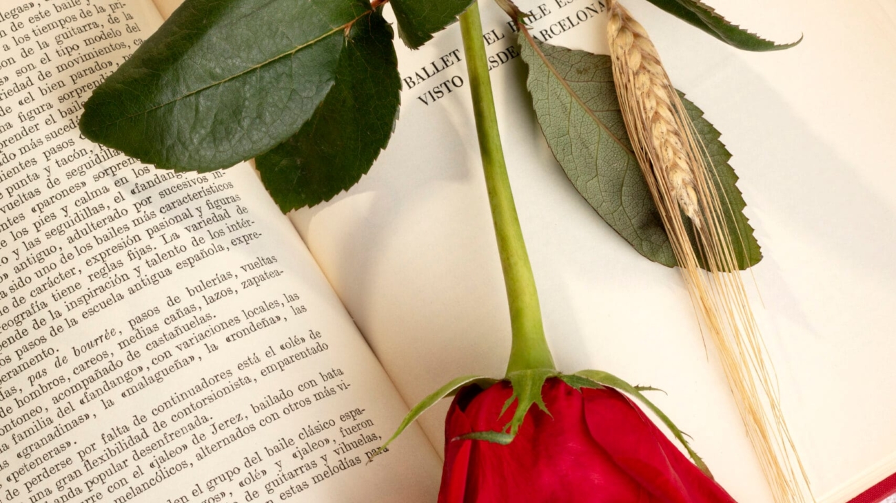 still-life-sant-jordi-day-books-roses
